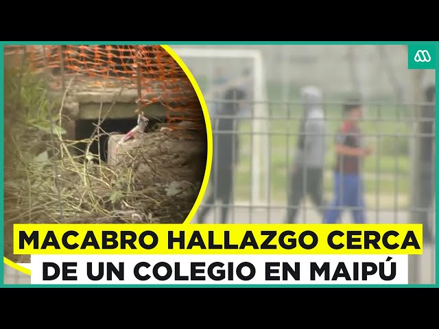 ⁣Macabro hallazgo de restos humanos cerca de un colegio en Maipú