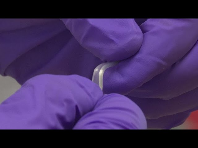 ⁣These stretchy 'jelly batteries' could be implanted into humans to power implants and wear