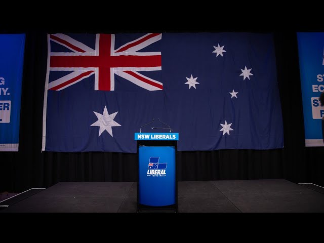 ⁣‘How can this happen?’: NSW Liberals fail to enter 12 councils for election nominations