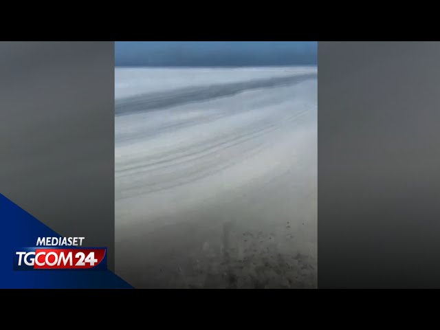 ⁣Mare Adriatico, è allarme mucillagine: "Mai vista una cosa così"