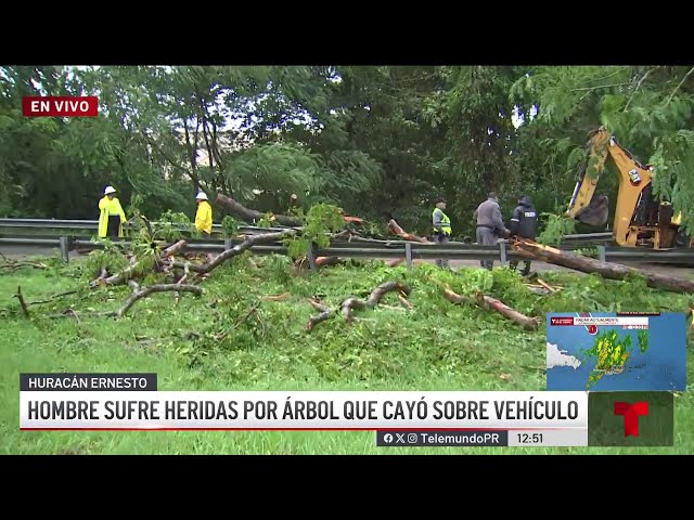 ⁣Empleado de Metropistas sufre heridas por árbol que cayó sobre su vehículo