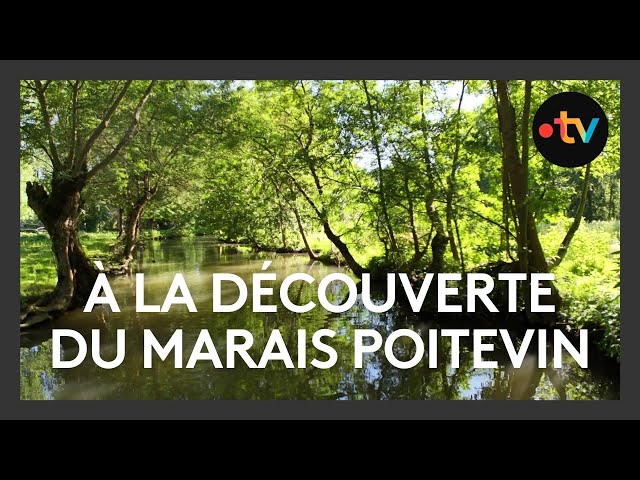 À la découverte du Marais poitevin / Ici en France - page été