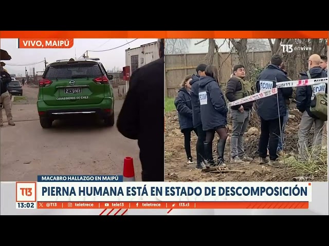 Macabro hallazgo en Maipú: encuentran una pierna humana en estado de descomposición