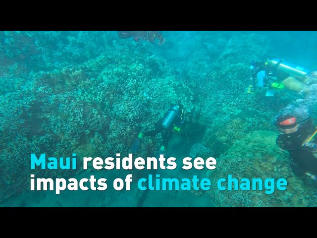 Maui residents see impacts of climate change