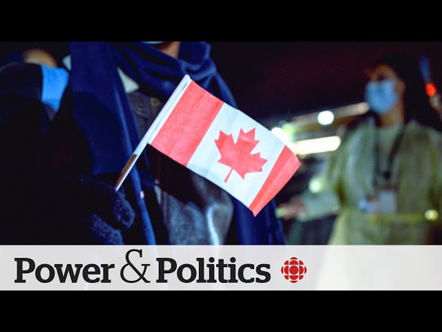 ⁣What’s the process if citizenship of Toronto terror suspect is revoked? | Power & Politics