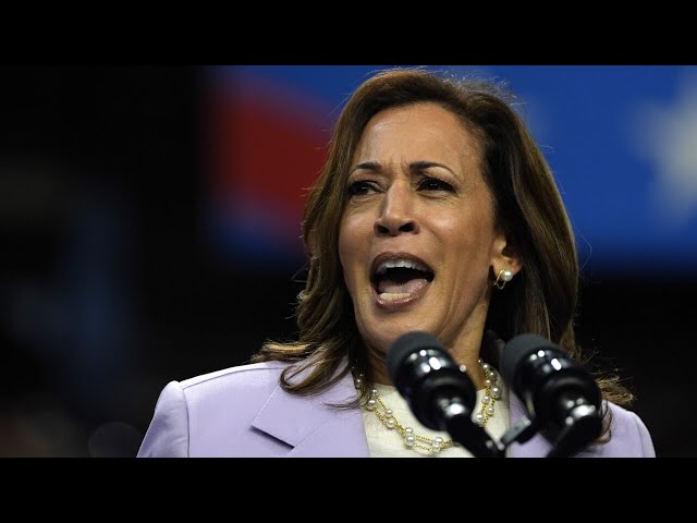 ‘Getting away with murder’: Kamala Harris’ campaign reportedly manipulating news headlines