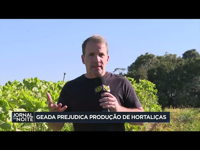 Geada prejudica produção de hortaliças