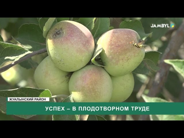 ⁣Успех – в плодотворном труде