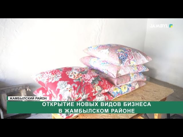 ⁣Открытие новых видов бизнеса в Жамбылском районе