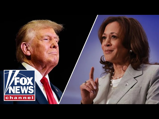 ⁣Kamala is still losing to Trump: Katie Pavlich