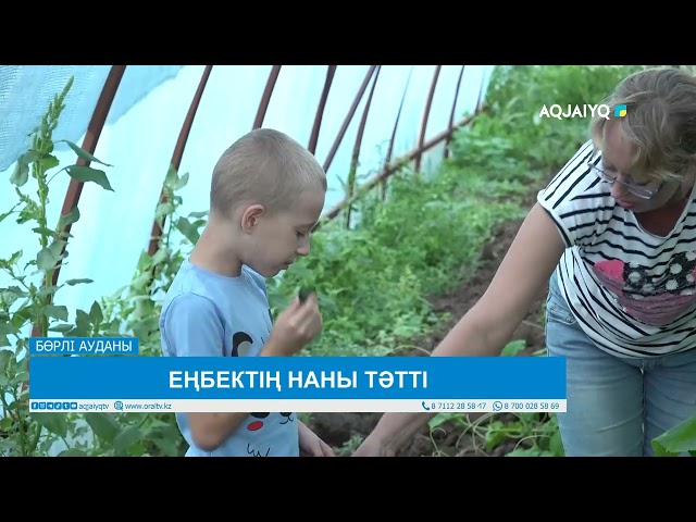 ⁣ЕҢБЕКТІҢ НАНЫ ТӘТТІ