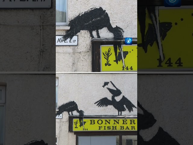 Banksy übersät London mit Tiermotiven. #banksy #london #art #tagesschau