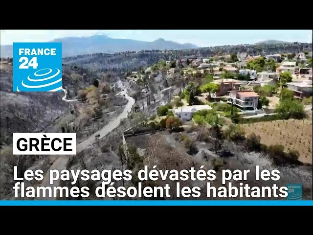 ⁣Incendies en Grèce : paysages dévastés et colère des rescapés • FRANCE 24