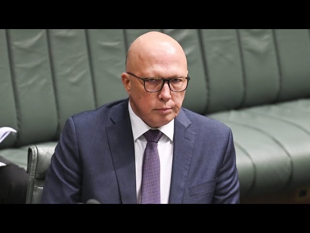 Gaza debate turned ‘quite real’ after Peter Dutton racism accusation