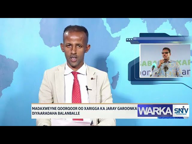 WARKA HABEEN EE SNTV 16.08.2024