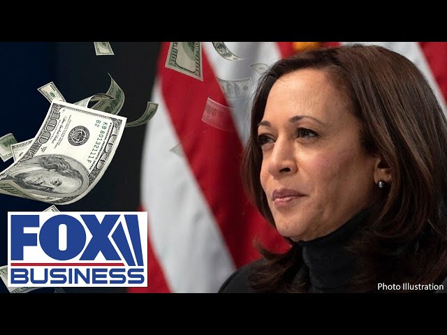 ⁣'SCARY': 'Bar Rescue' host torches Kamala's price control plan