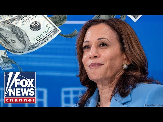 Former Obama adviser argues Harris' economic plan will be focused on lowering costs