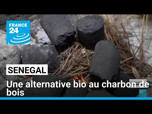 ⁣Sénégal : le bio-charbon, un fioul vert pour protéger les forêts • FRANCE 24