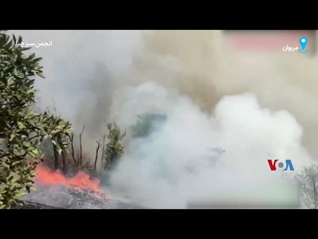 ⁣ادامه آتش‌سوزی جنگل‌ها و مراتع روستاهای اطراف مریوان