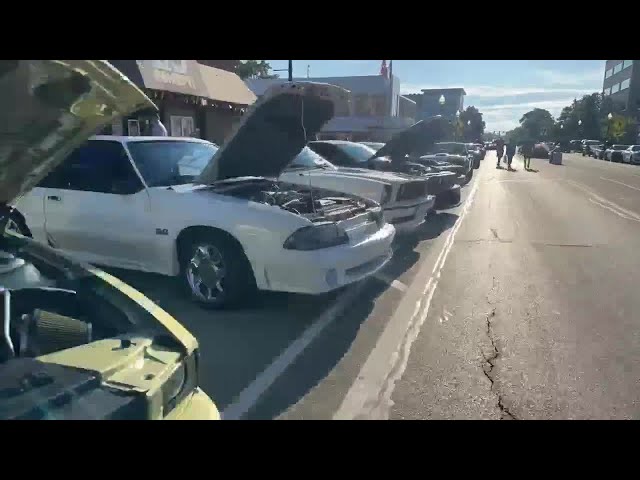 ⁣Timelapse: Get a glimpse of Mustang Alley at the Woodward Dream Cruise