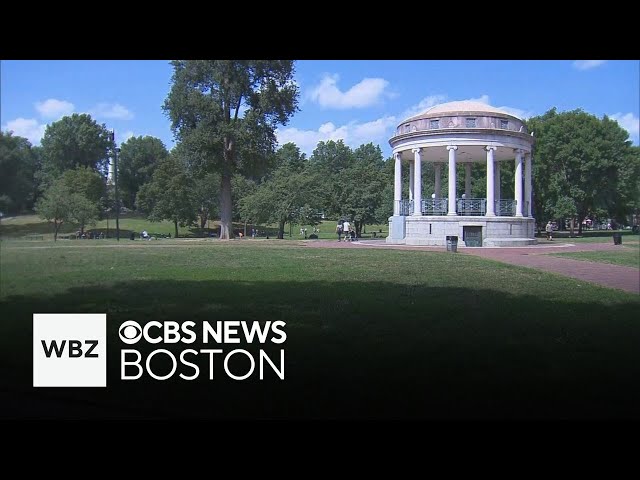 ⁣Protesters to hold topless march on Boston Common calling for equal rights for women