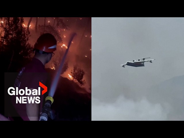 ⁣Turkey wildfires: Helicopters, planes douse flames in Izmir as strong winds fan blaze