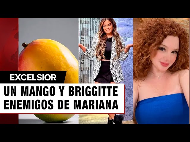 ⁣¿Por qué un mango y Briggitte son los enemigos de Mariana Echeverría?