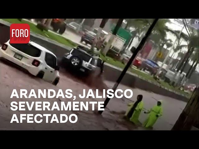 Lluvias y vientos fuertes causan estragos en el municipio de Arandas en Jalisco - Las Noticias