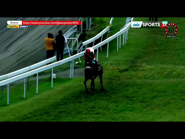 Hippisme - 16ème journée - La 1ère course en direct