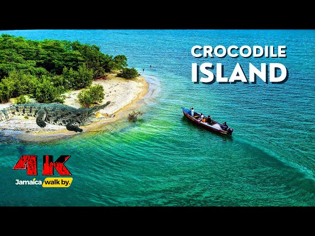 ⁣✔️JMAICA WALK BY | Exploring Uninhabited CROCODILE Islands Off Cast Of Jamaica Fresh Catch and Cook