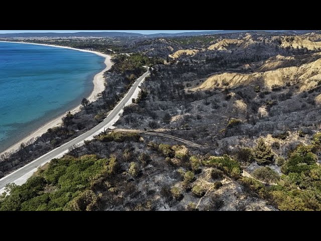 Die meisten Waldbrände in der Westtürkei unter Kontrolle