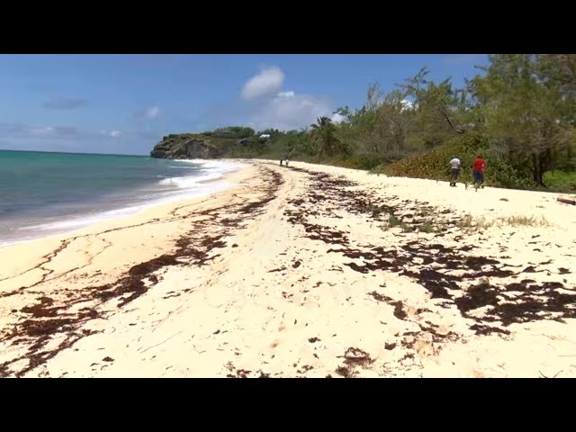 Foul Bay Beach set for major clean-up