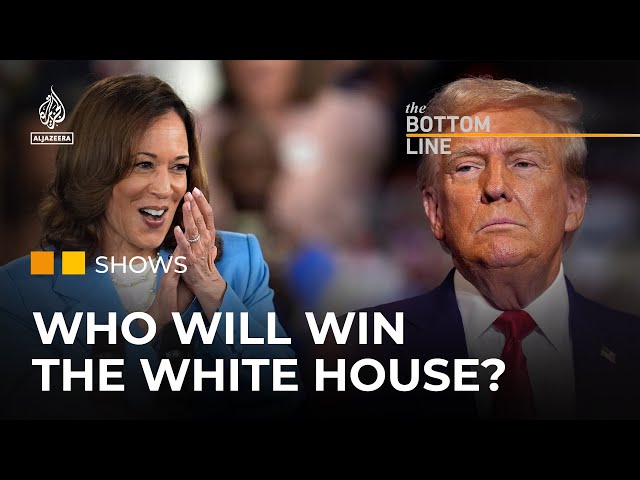 Harris revived the Democrats, but can she win the US election? | The Bottom Line