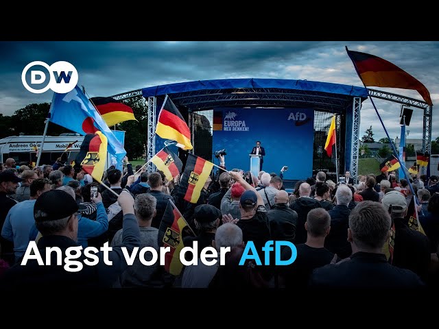 Ausländische Studierende in Cottbus und die Angst vor der AfD | Fokus Europa