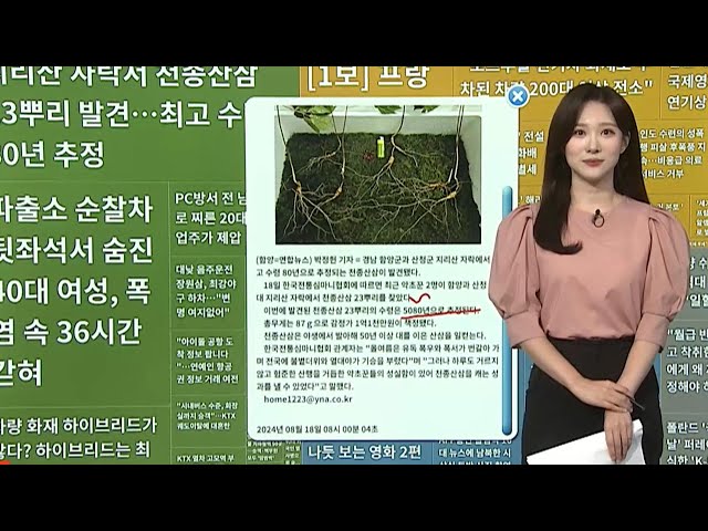 ⁣[이 시각 핫뉴스] '음주운전' 장원삼 "최강야구 자진 하차…반성하겠다" 外 / 연합뉴스TV (YonhapnewsTV)