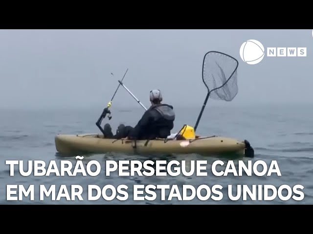 ⁣Tubarão persegue canoísta em mar dos Estados Unidos