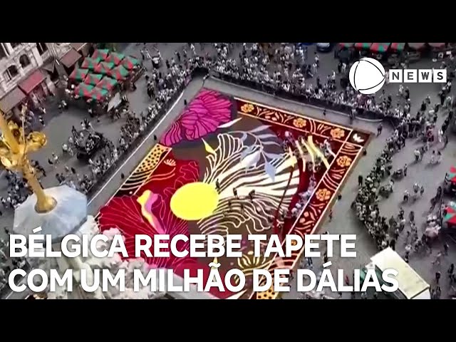 Bélgica recebe tapete de flores com um milhão de dálias