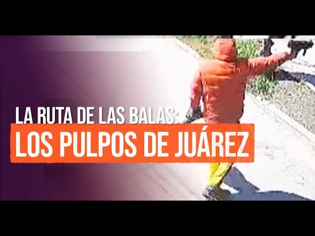 Reportajes T13 | La ruta de las balas: Los Pulpos de Juárez