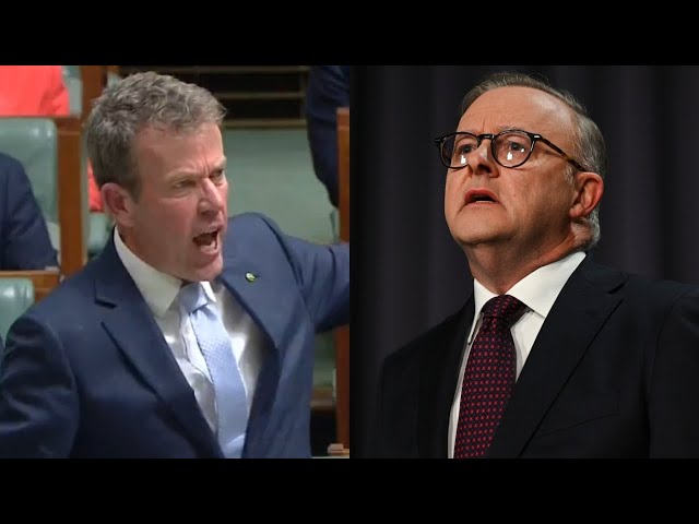 ‘Weakness at its worst’: Dan Tehan blasts Anthony Albanese as ‘gutless’