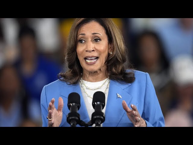 ‘She is going full Bernie Sanders’: Kamala Harris 'ridiculous' economic plan slammed