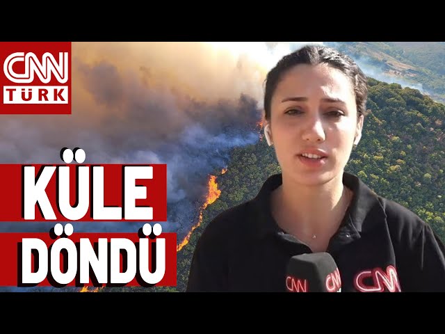 CNN TÜRK Yangın Bölgesinde! İzmir'de Küle Dönen Ormanın Son Hali...