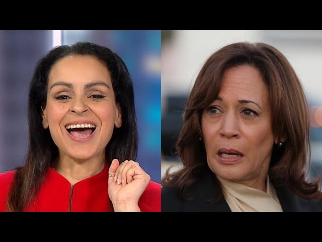 ‘Like a kid cramming for an exam’: Rita Panahi on Kamala Harris’ policy explanations