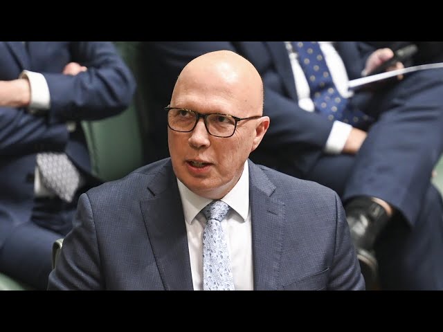 Peter Dutton is 'not remotely racist': Sheridan