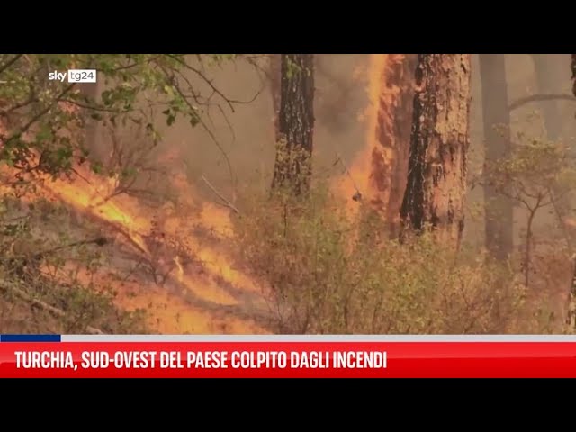 ⁣Turchia, sud-ovest del Paese colpito dagli incendi