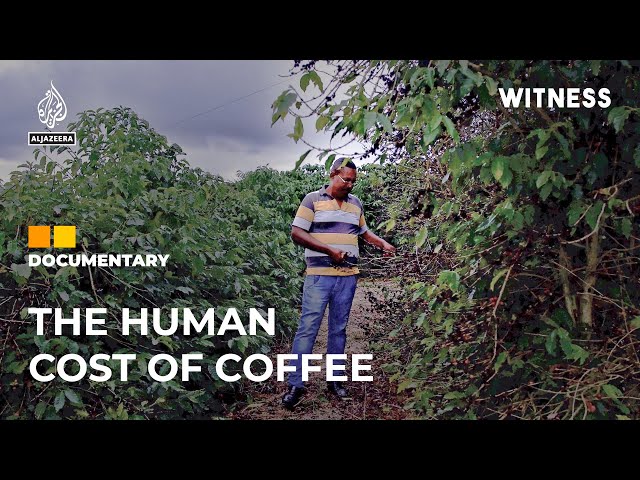 Rescuing coffee farm workers from slave-like conditions in Brazil | Witness Documentary