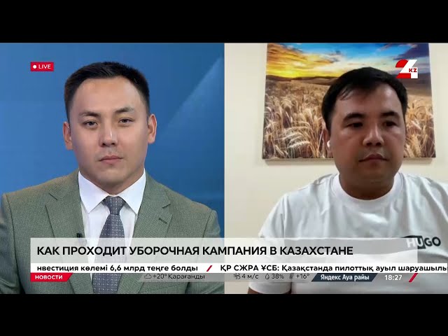 ⁣Как проходит уборочная кампания в Казахстане