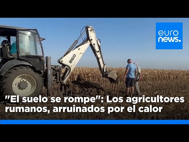 ⁣La sequía devasta cultivos, cosechas y suelo de labranza en Rumanía