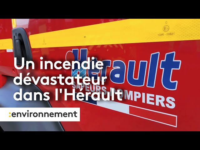 L'incendie entre Gigean et Frontignan dans l'Hérault est fixé, 320 hectares parcourus