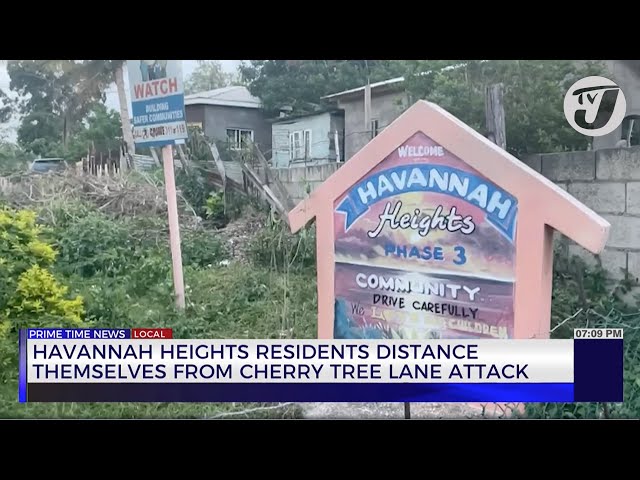 ⁣Havannah Heights Residents Distance themselves from Cherry Tree Lane Attack | TVJ News