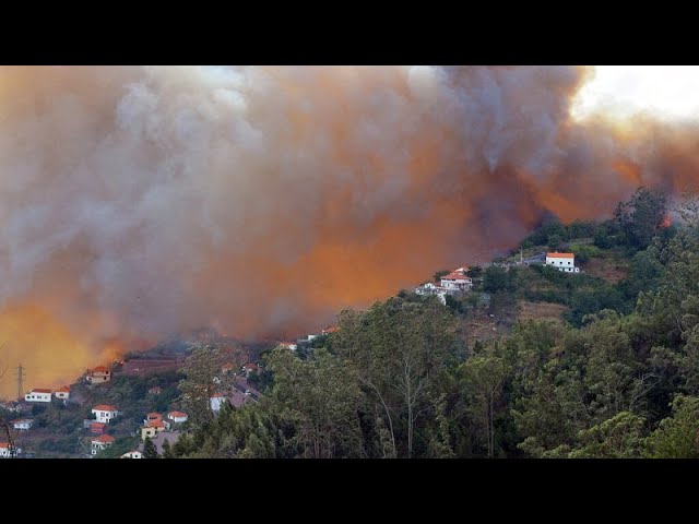 Kampf gegen die Flammen: Waldbrände im Südosten Frankreichs und auf Madeira